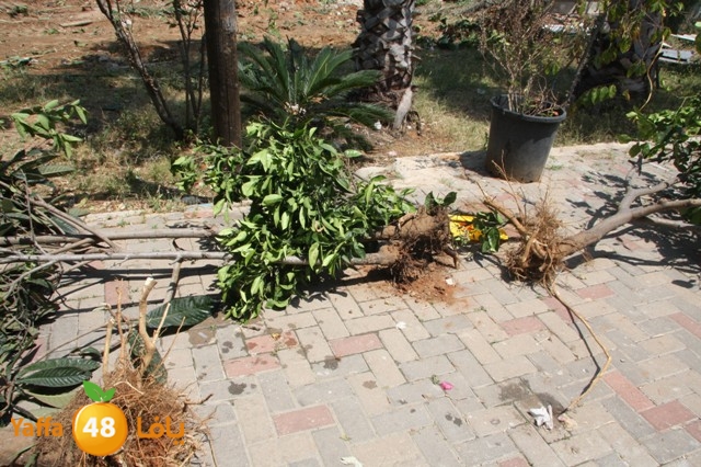 hadmqobtan423zoher (27).JPG